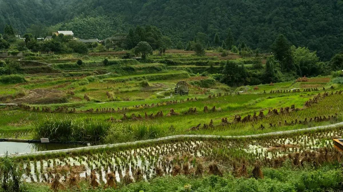tourisme oenologique en chine quels endroits visiter — Tourisme œnologique en Chine : quels endroits visiter ?