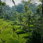 voyage bali — Voyage Bali : carte, visa et formalités avant le départ