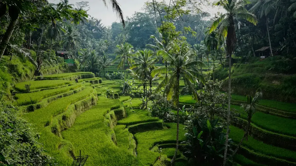 voyage bali — Voyage Bali : carte, visa et formalités avant le départ